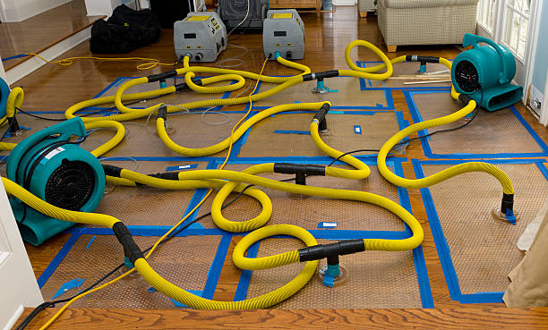 Professional Burst Pipe Water Damage technician working in Union, NJ